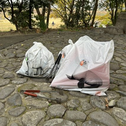 今年最後のごみ拾い